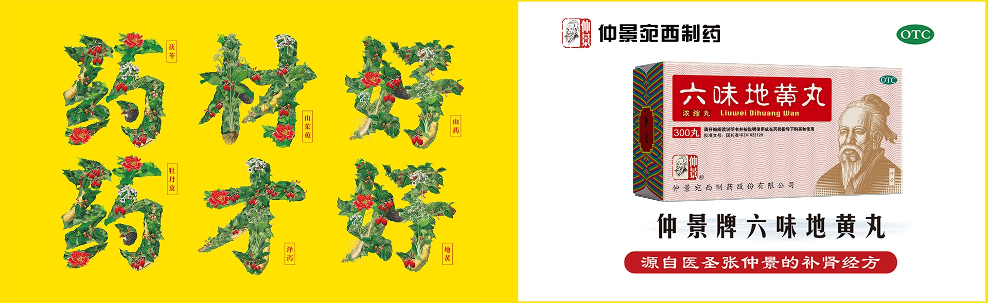 仲景宛西制药包装升级案例｜产品太多，如何打造清晰的战略大单品体系(图1)